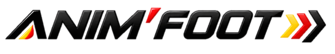 Logo du stage Anim'Foot